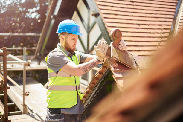 Best Gutter Installation and Roofing  in Ellijay, GA